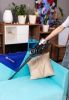 Пылесос Evolution Smart Clean VCF2312