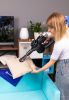Пылесос Evolution Smart Clean VCF2312
