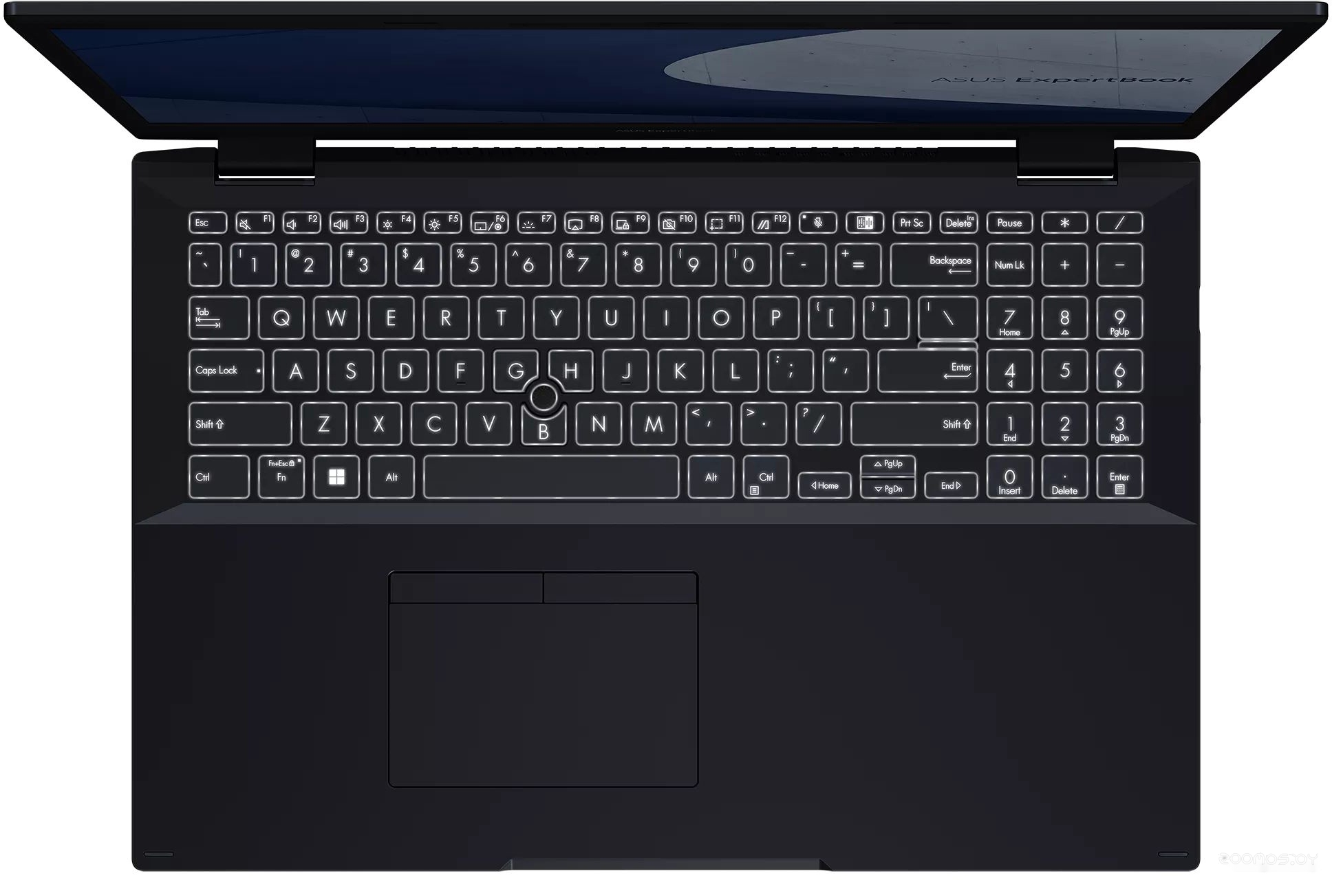 Ноутбук Asus ExpertBook L2 L2502CYA-BQ0192X, фото 7