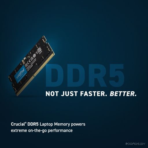 Оперативная память Crucial 32ГБ DDR5 SODIMM 5600 МГц CT32G56C46S5