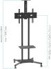 Кронштейн Arm Media PT-STAND-12