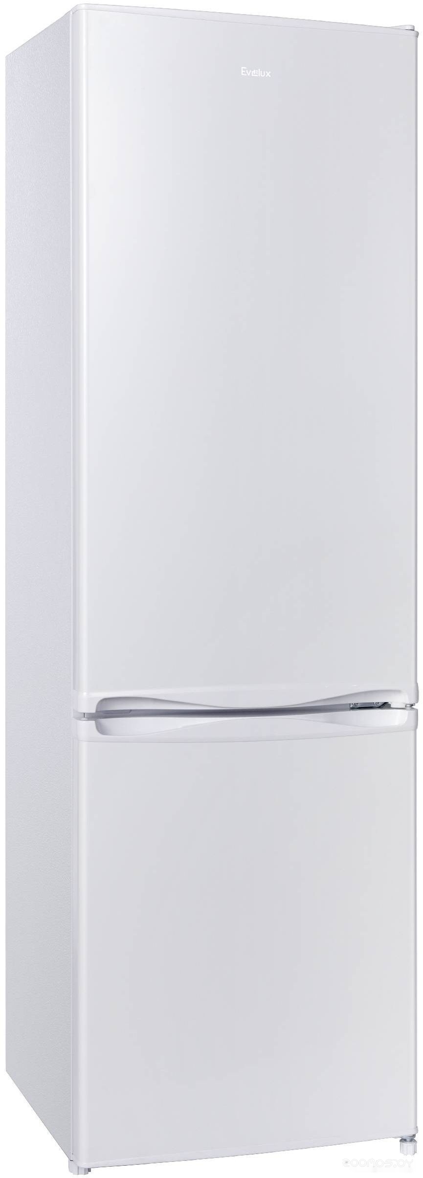 Холодильник Evelux FS 2220 W, фото 2