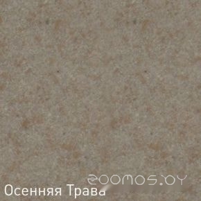 Кухонная мойка Zigmund & Shtain Platz 465 (осенняя трава), фото 2