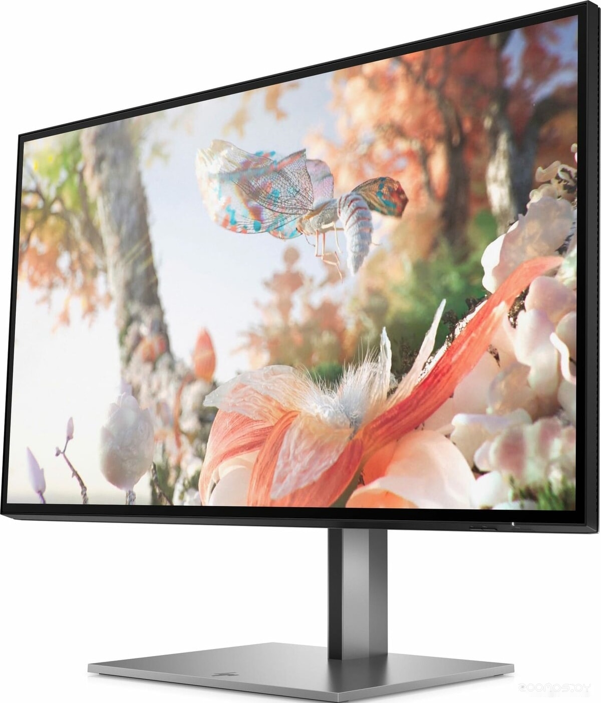 Монитор HP DreamColor Z25xs G3, фото 5