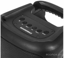 Беспроводная колонка SoundMAX SM-PS4524