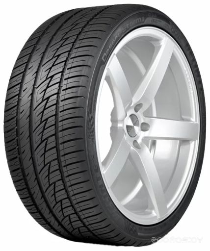 Автомобильные шины Delinte DS8 255/45R19 100Y