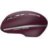 Мышь Canyon MW-21 / CNS-CMSW21BR