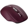Мышь Canyon MW-21 / CNS-CMSW21BR