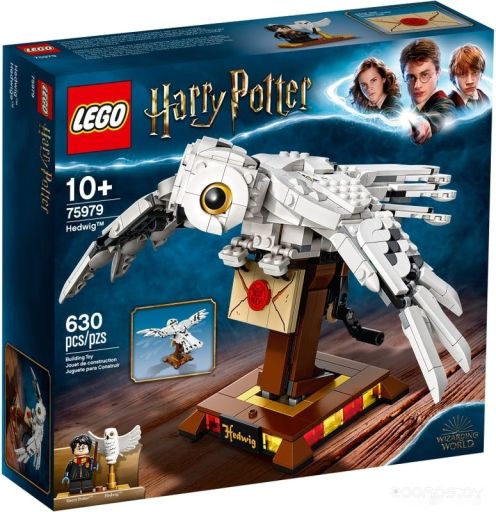 Конструктор Lego Harry Potter 75979 Букля