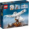 Конструктор Lego Harry Potter 75979 Букля