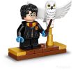 Конструктор Lego Harry Potter 75979 Букля