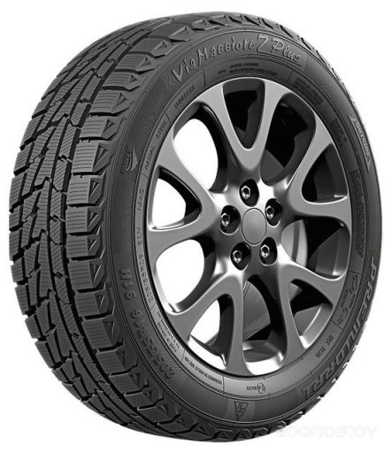 Шина Premiorri Viamaggiore Z Plus 225/55 R16 99H