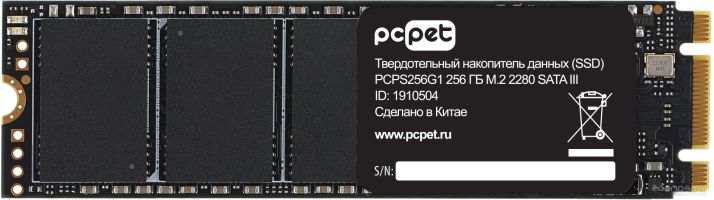 SSD PC PET 256GB PCPS256G1