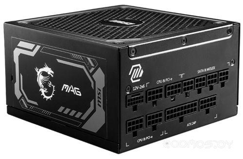 Блок питания MSI MAG A1000GL PCIE5, фото 1