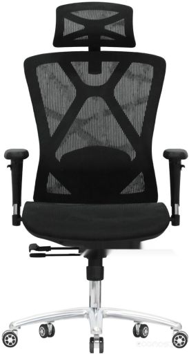 Офисное кресло Evolution Exo F1 Mesh Black (черный), фото 1