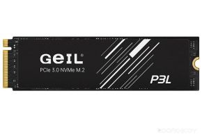 SSD Geil P3L P3LFD16I256G
