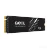 SSD Geil P3L P3LFD16I256G