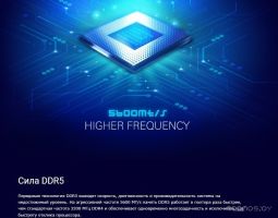 Оперативная память Silicon Power 16ГБ DDR5 4800 МГц SP016GBLVU480F02