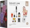 Погружной блендер Galaxy Line GL2141