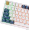 Клавиатура Royal Kludge RK98 RGB Klein Blue (RK Brown)
