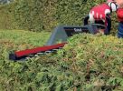 Кусторез Einhell GE-EH 7067