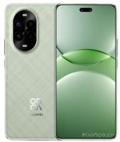 Смартфон Huawei nova 13 Pro MIS-LX9 12GB/512GB (дымчатый зеленый)