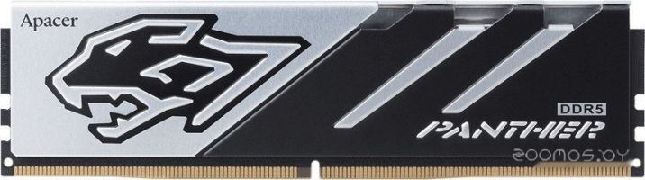 Оперативная память Apacer Panther 32ГБ DDR5 6000 МГц AH5U32G60C5127BAA-1