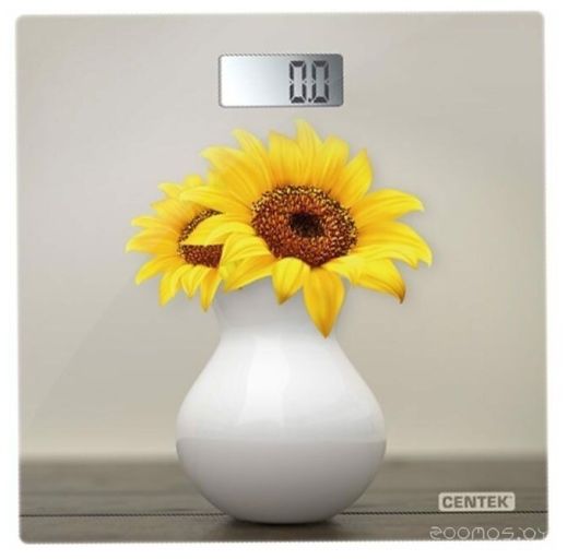 Напольные весы CENTEK CT-2428 Sunflower