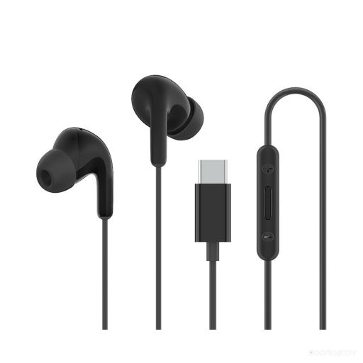 Наушники Xiaomi Type-C Earphones M2413E1 (черный, международная версия)
