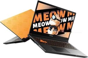 Игровой ноутбук Colorful Evol MEOW R15 A10305000025