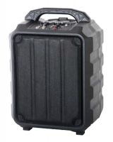 Акустическая система Leem PR-6