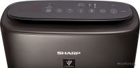 Климатический комплекс Sharp KIN-41RH