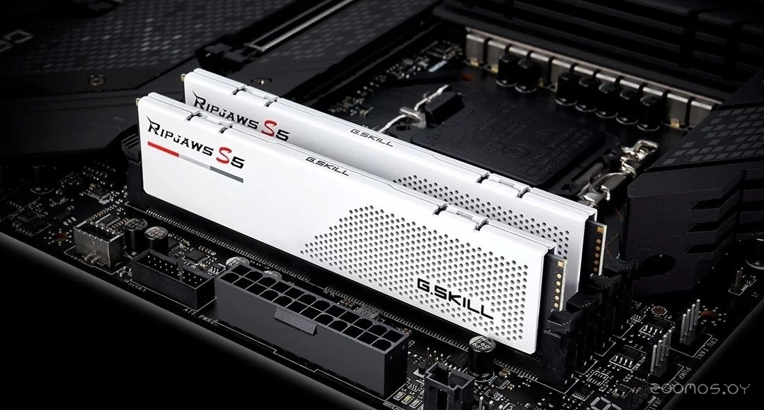 Оперативная память G.SKILL Ripjaws S5 2x24ГБ DDR5 5200 МГц F5-5200J4040A24GX2-RS5W, фото 4