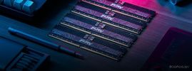 Оперативная память Kingston FURY Renegade Pro 16ГБ DDR5 6400МГц KF564R32RB-16