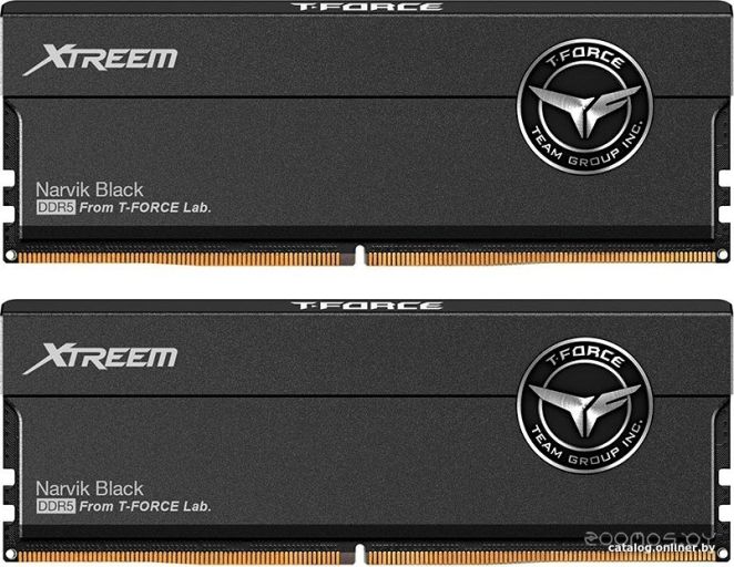 Оперативная память Team T-Force Xtreem 2x16ГБ DDR5 6000 МГц FFXD532G6000HC30DC01