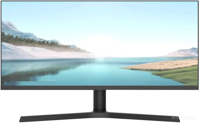 Игровой монитор NPC MZ300L