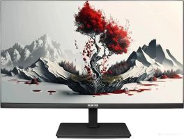 Монитор RDW Computers 2401K/F00В3100V2A1H
