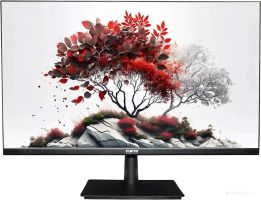 Монитор RDW Computers RDW2701K/F08B3100V2A1
