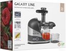 Соковыжималка Galaxy Line GL0817