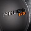 Головка сабвуфера DL Audio Phoenix Sport 15