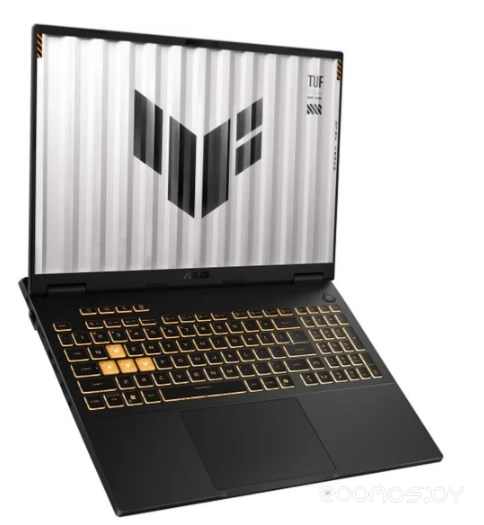 Игровой ноутбук Asus TUF Gaming F16 FX608JM-RV058, фото 3