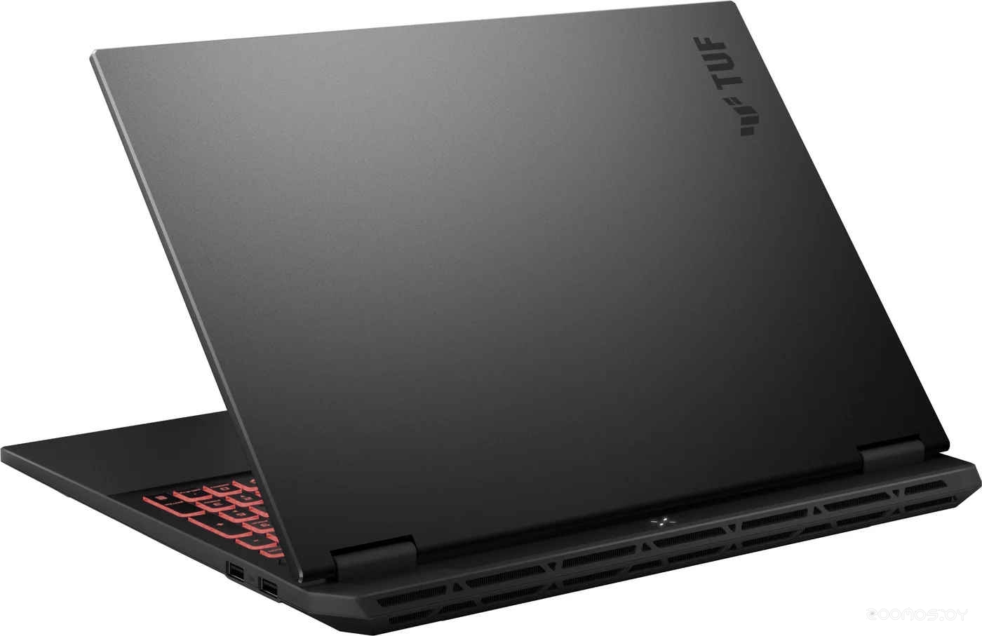 Ноутбук Asus TUF Gaming A16 FA608UM-RV053, фото 4