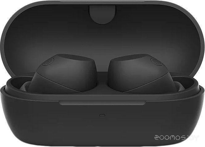 Наушники Sony WF-C710N (черный)