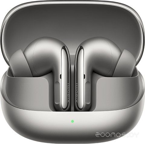 Наушники Xiaomi Buds 5 Pro M2437E1 (титановый, международная версия)