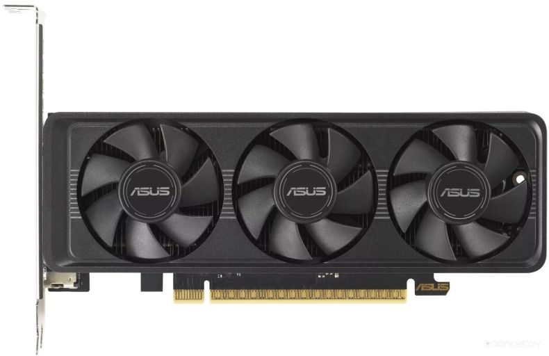 Видеокарта Asus GeForce RTX 5060 LP BRK 8GB GDDR7 OC Edition RTX5060-O8G-LP-BRK