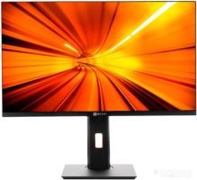 Моноблок Тесла P24BP 2416500