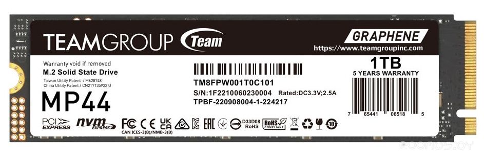 SSD Team MP44 1TB TM8FPW001T0C101