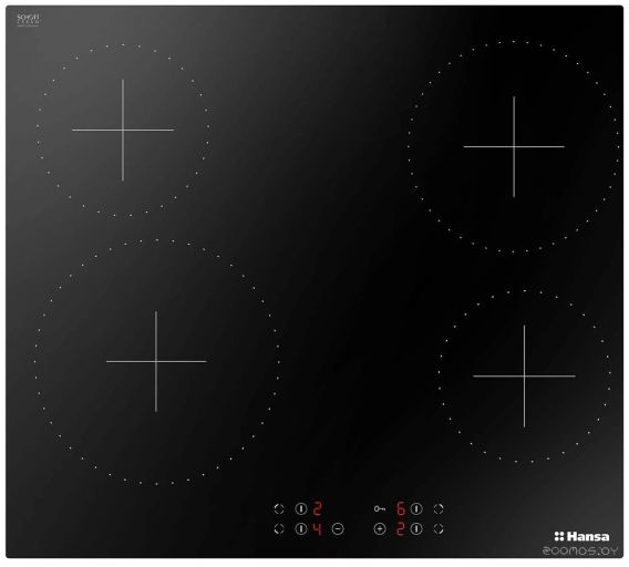 Варочная панель Hansa BHC66377