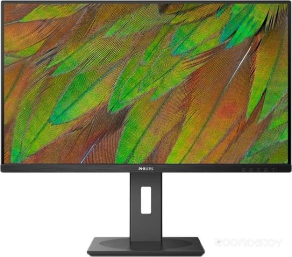 Монитор Philips 32B1N3800/00