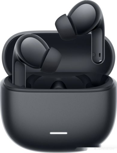 Наушники Xiaomi Redmi Buds 8 Lite M2539E1 (черный, международная версия)